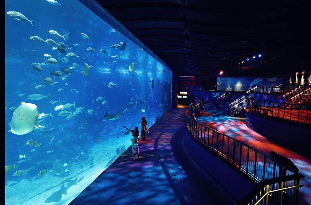 Resorts World Sentosa - Hotel Michael Singapur Zewnętrze zdjęcie